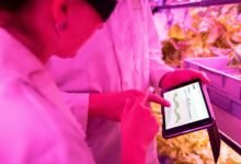 digital tools for growth