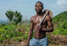 empower your digital growth