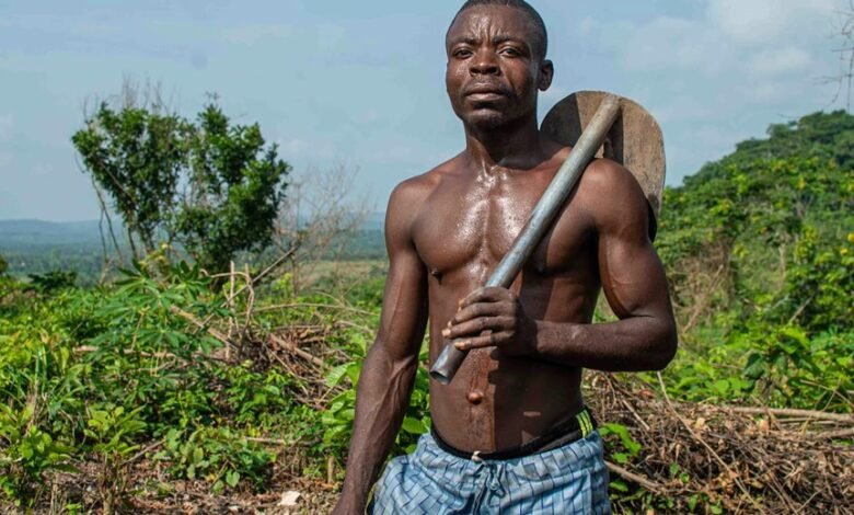 enhance your digital growth