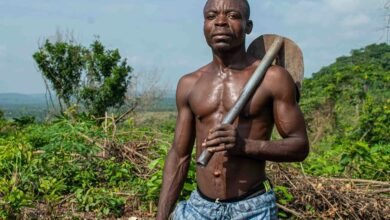 enhance your digital tools